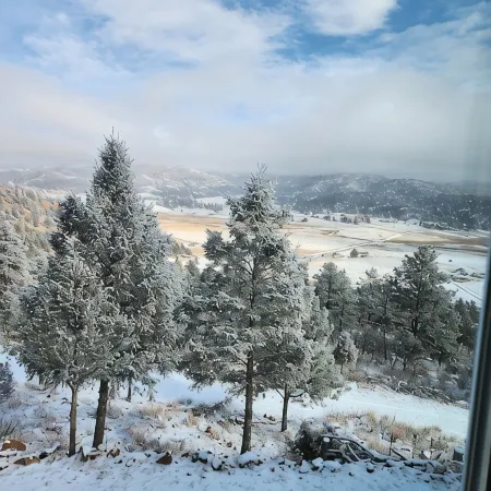 Charming 3-bedroom cabin in Florissant, CO