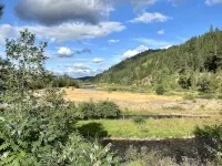 Bright Condo With Views & Easy Access to CDA River.  Minutes From Gondola! Hotels in Kellogg