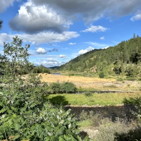 Bright Condo With Views & Easy Access to CDA River. Minutes From Gondola!