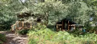 Cap Town cabin in the forest - Hytter