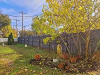 Cozy NoDa Stay Near Uptown - Homestays