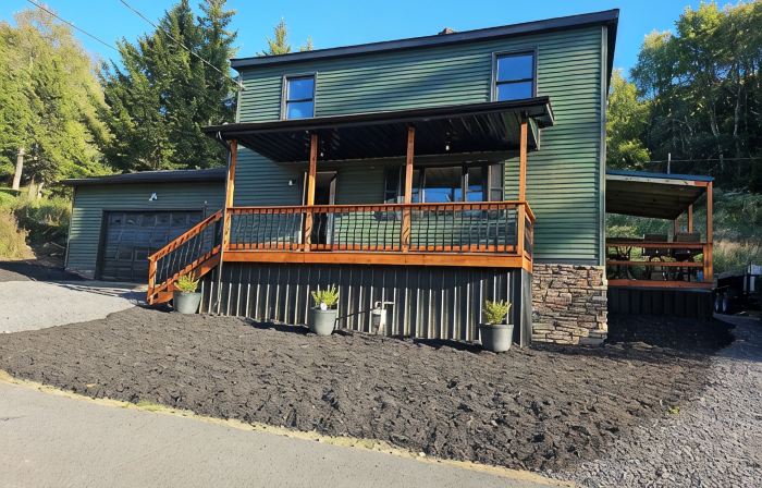 Sleeps 10 home in Thomas. Walk to Purple Fiddle. Close to Davis and Canaan