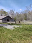 The Honey Hut next to Big South Fork NRRA with AC, wifi, and horse stalls.