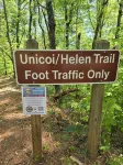 Downtown Helen House on 4 acres adjoining Unicoi State Park. Hikers Paradise!!!
