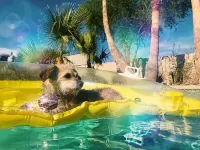 Modern Vegas Hot Tub Retreat • Pet Friendly • Near Strip • 10% Off January - Villas