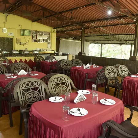 Wild Camp- the Nature Resort