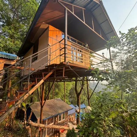 Jungle Crown Organic Homestay