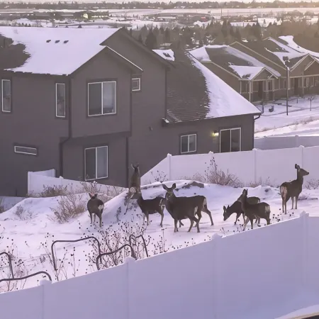 Charming 3-Bedroom House in Cheyenne with WiFi, AC.  Amazing Views! Sleeps 8