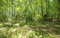 Authentic Cabin in the Woods! - Alppimaja