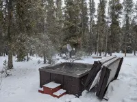 Spacious cabin with hot tub in a nicely treed area, close to many attractions - Chalets