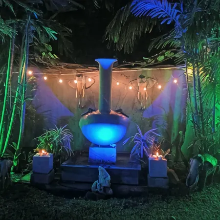 Palms Villa