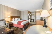 Quality Hotel