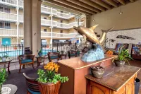 Oceanfront Luxury! - Affordable Oceanfront Condo Now with A/C!! - 3-stjärniga
