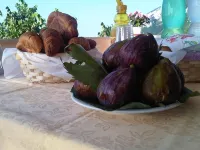 Casa Falcone B&B - breakfast