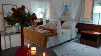 Delta Park Hotel - Bares