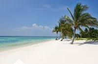 Luxury Villa with Private Pool, Cook,Maid & Golf Cart in Exclusive Punta Cana - Villa