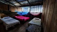 Hospedaje  Reina Arriera Amazonas Hotels in 