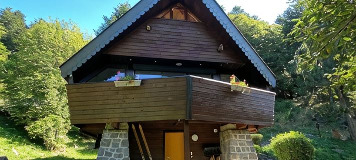 Chalet " LA JANELLE " Le Mont-Dore Hotels in Le Mont-Dore
