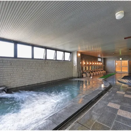 Hotel de Marronnier Yunoyama-Onsen