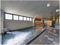 Hotel de Marronnier Yunoyama-Onsen - Hot Springs