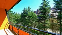 Hotel Boruta - Mountain view