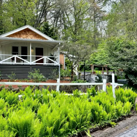 FLY LAKE- A Modern Mirror Lake Cottage