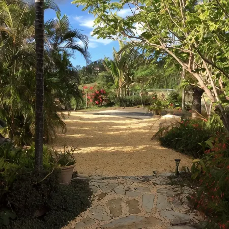 Rincon Vista, private setting with spectacular views, now ready for your booking