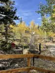 Rustic 2-Bedroom Cabin on 2 Acres - 2つ星