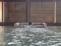 燕温泉の旅館 源泉の湯 花文 - 温泉