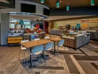 Tru by Hilton Roanoke Hollins Hotels in Hollins