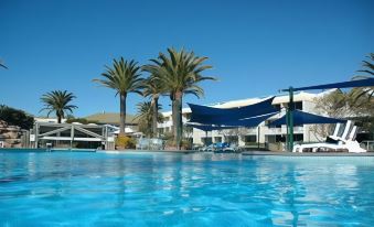 a large blue swimming pool surrounded by palm trees , with lounge chairs and umbrellas placed around the pool area at Sea World Resort