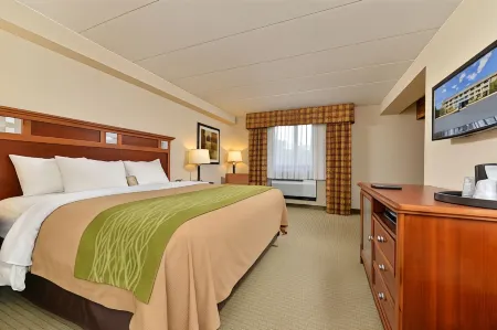 Comfort Inn Herndon-Reston