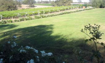 a lush green lawn with white flowers in the foreground and a vineyard in the background at Sandhurst Motor Inn Bendigo