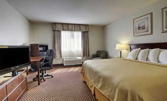 Quality Inn & Suites Bloomington University Area