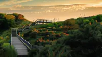 Casselbergh Residences Leader - de Haan Hotels in De Haan