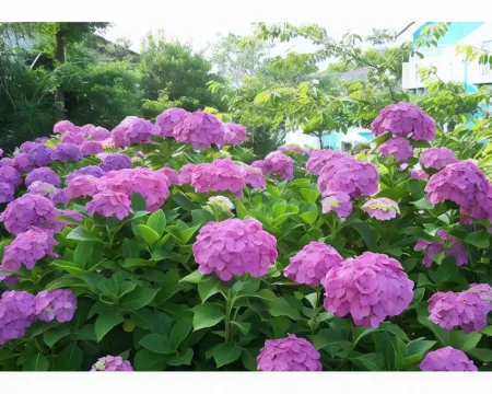 はなざわ５ 大網白里のホテル