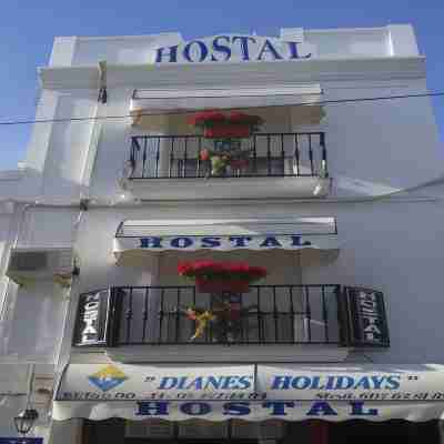 Hostal Dianes Hotel Exterior