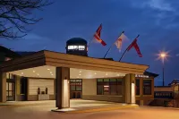 Park Inn by Radisson Toronto-Markham - Pools