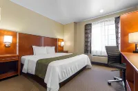 Quality Inn San Jose Airport-Silicon Valley