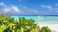 By the Shade Hotels in Hangnaameedhoo