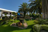 Hotel Panamerican - Pools
