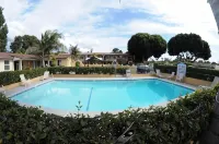 Oasis Inn and Suites - Pools