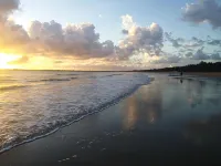 The Shores Holiday Apartments - Beach