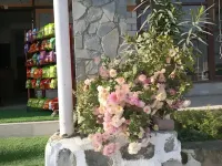 Shree Ram Hotel Hotels in Mandi