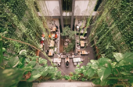 Grandmas Plus Hotel Legian
