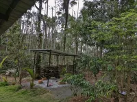 Multiple Stories, Wayanad Hoteles en 