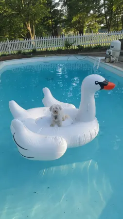 Charming Retreat - Near River, State Park, Shops