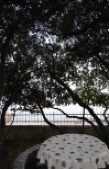 歡迎入住帕拉蒂薩公寓