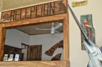 Hotel d'Lucia Hotels in Carara