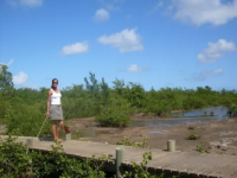 House of full foot with small done up and fenced yard. Hotels in Port-Louis